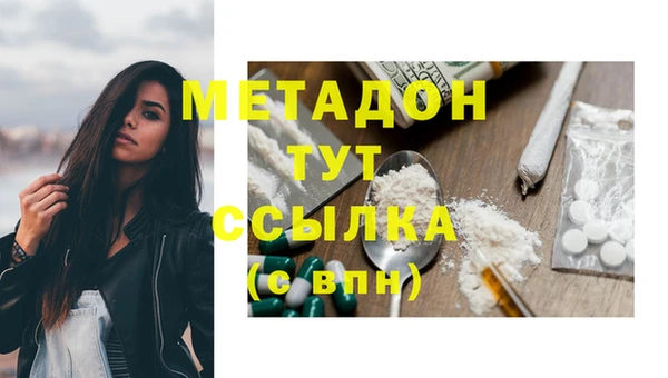 прущие грибы Балабаново