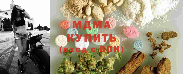 прущие грибы Балабаново