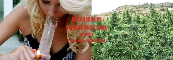 прущие грибы Балабаново