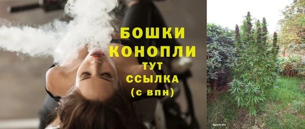 прущие грибы Балабаново