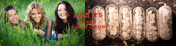 мяу мяу кристалл Переславль-Залесский